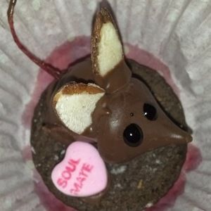 Meet your Posher, Petra